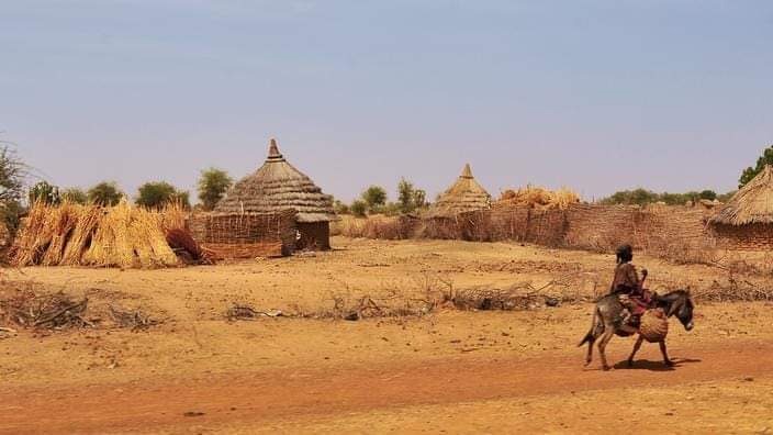 Sahel : la vague de chaleur meurtrière provoquée par un changement climatique «d'origine humaine»