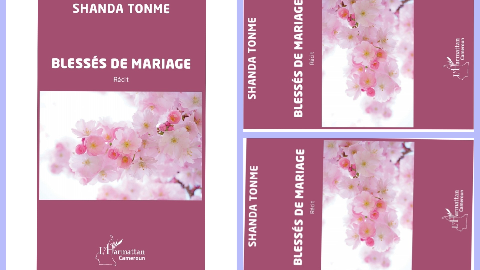 À lire absolument " Blessés de Mariage, l'ouvrage du Pr SHANDA TONME